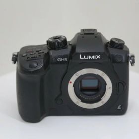 【中古】 (パナソニック) Panasonic DC-G9-K【中古カメラ デジタル一眼】 ランク：B