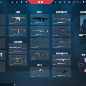 EP6 RADIANT 課金額27万 Champion2021～2024 限定スキンほぼコンプ | VALORANT(ヴァロラント)のアカウントデータ、RMTの販売・買取一覧