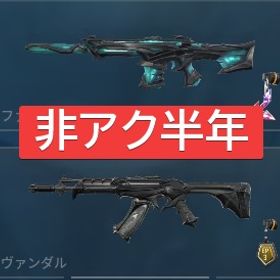 【在庫処分セール🔥】非アク半年 リーヴァー フォーセイクン | VALORANT(ヴァロラント)のアカウントデータ、RMTの販売・買取一覧