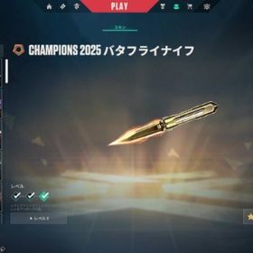 元イモータル 現ダイア 総課金額18万 | VALORANT(ヴァロラント)のアカウントデータ、RMTの販売・買取一覧