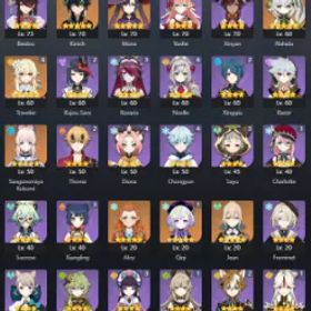 アジア 冒険ランク 56/14 伝説/胡桃/タルタリヤ/胡桃/キィニチ/将軍/イェレン/スカイウォードハープ/ZAK680