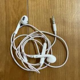 【格安】Apple EarPods