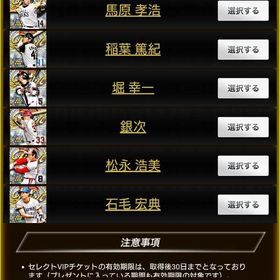 フィナーレVIP②チケット＆VIP③チケット | プロ野球プライドのアカウントデータ、RMTの販売・買取一覧