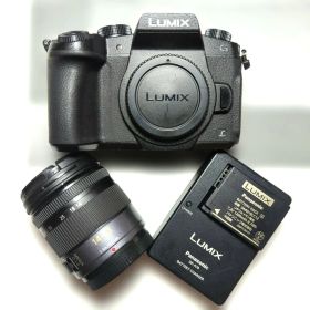 LUMIX DMC-G8 ミラーレス一眼カメラ レンズセット