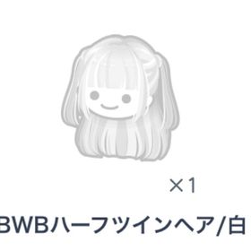 BWBハーフツインヘア | ピグパ(ピグパーティ)のアイテム、RMTの販売・買取一覧