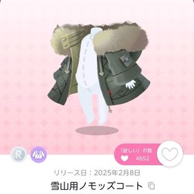 雪山用ノモッズコート 1点 | ポケコロツイン(ポケツイ)のアカウントデータ、RMTの販売・買取一覧