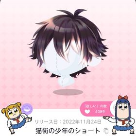 《ラスト1点》猫街の少年のショート | ポケコロツイン(ポケツイ)のアカウントデータ、RMTの販売・買取一覧