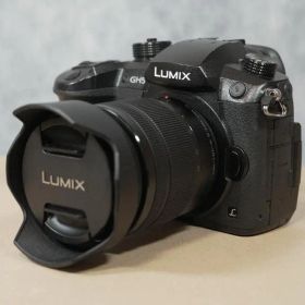 【中古】LUMIX DC-GH5 レンズキット（G VARIO 12-60mm）