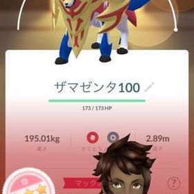 ザマゼンタ&レックウザ&ジガルデ💯 激安強アカウント🌟 | ポケモンGOのアカウントデータ、RMTの販売・買取一覧