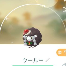 B72【PTC】国産！色違いウールー ホリデー | ポケモンGOのアカウントデータ、RMTの販売・買取一覧