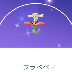8999【PTC】色違いフラベベ23匹 | ポケモンGOのアカウントデータ、RMTの販売・買取一覧