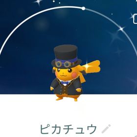 7688【PTC】在庫処分！色違いピカチュウ 青アクセント ♀ | ポケモンGOのアカウントデータ、RMTの販売・買取一覧