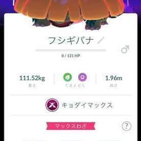 🥇非対面トレード・PTCアカウント🥇色違いキョダイマックスフシギバナ フィナーレ背景 | ポケモンGOのアカウントデータ、RMTの販売・買取一覧