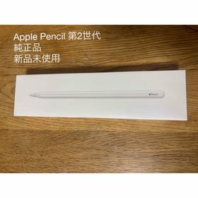 アップル(Apple)のApple Japan(同) iPadPro Apple Pencil 第2世代(その他)