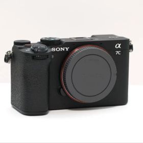 【キズ汚れなし】 SONY α7CII シャッター回数5051回