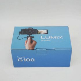 Panasonic LUMIX G100 DC-G100V-KJ