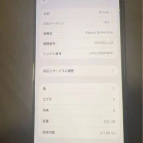 海外版iPhone 16 Pro Max 256GB,美品,バッテリーは100％
