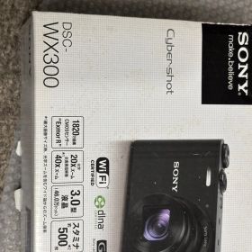 SONY サイバーショット DSC-WX300 12021