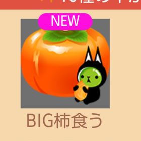 Big柿食う | スペースデブリーズのアイテム、RMTの販売・買取一覧