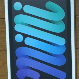 【新品未開封】iPad mini 7 (第7世代) 256GB スペースグレイ