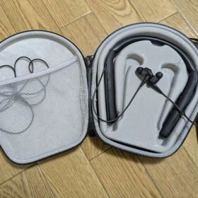 SONY WI-1000X ワイヤレスイヤホン ノイズキャンセリング