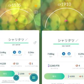 シャリタツそった（オレンジ）シャリタツたれた（赤） それぞれ2匹ずつ非対面トレード | ポケモンGOのアカウントデータ、RMTの販売・買取一覧