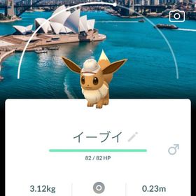 SP背景イーブイ シドニー | ポケモンGOのトレード(モンスター)、RMTの販売・買取一覧