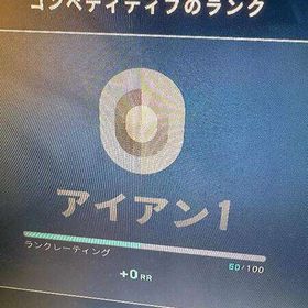 初期垢アイアン1即購入〇メアパス変更可 | VALORANT(ヴァロラント)のアカウントデータ、RMTの販売・買取一覧