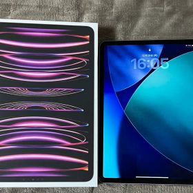 iPad Pro (第4世代) 11インチ 256GB