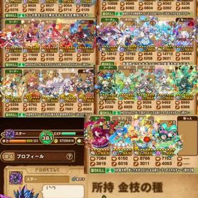 🔥Hellクリア済み引退🔥ゴットラッシュ、コラボ多数 | ポコダン(ポコロンダンジョンズ)のアカウントデータ、RMTの販売・買取一覧