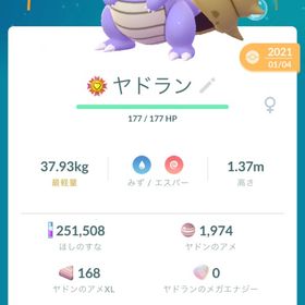 ポケモンGO 色違い143 4*14 幻15 | ポケモンGOのアカウントデータ、RMTの販売・買取一覧