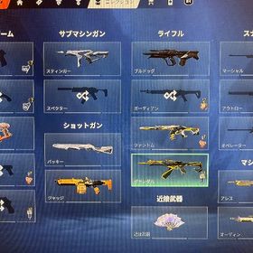 課金額29万！23・24・イグナイト・アーケイン・レディバディ・復旧情報⭕️ | VALORANT(ヴァロラント)のアカウントデータ、RMTの販売・買取一覧