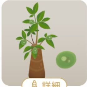 探偵事務所のジオラマのツリー パキラの木 1点 | リヴリーアイランドのアイテム、RMTの販売・買取一覧