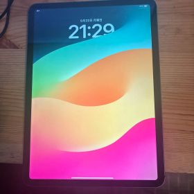 iPad pro11 インチ スペースグレー 64GB セルラーモデル