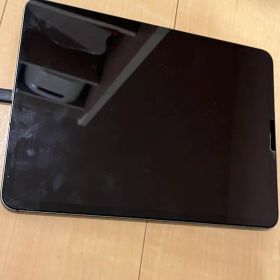 Apple グレー 本体 iPad Pro 第一世代 11インチ 64GB