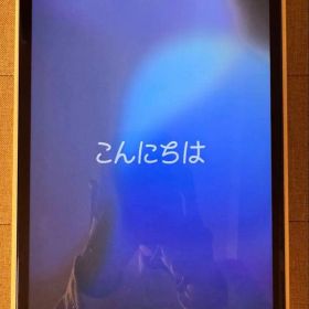 iPad Pro11インチ256GB（第3世代、M1）セルラー版