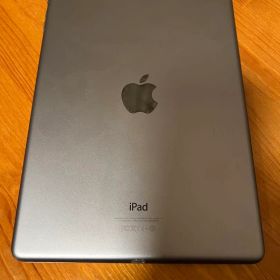 【ジャンク品】iPad Air第一世代（64GB）+ ELECOMフィルム