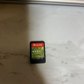 あつまれ どうぶつの森 Nintendo Switch