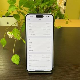 iPhone 14ProMax 1TB シルバーApple版 SIMフリー送料無料