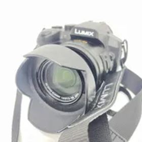 ★並品★LUMIX ルミックス DMC-FZ300