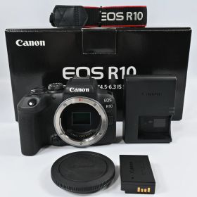 Canon EOS R10 ボディ ショット数 30000以下