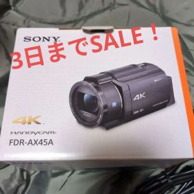 SONY HANDYCAM 4K FDR-AX45A