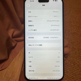海外版iPhone 16 Pro Max 256GB,美品,バッテリーは100％