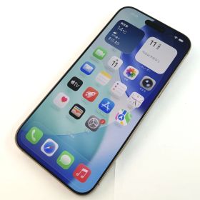 【キズあり品】iPhone 16 Pro Max/256GB/359737300014978