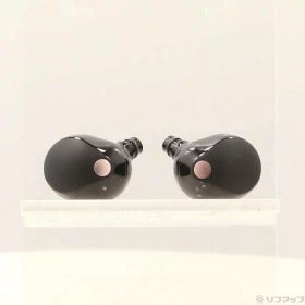 SONY WF-1000XM5 新品¥22,960 中古¥10,800 | 新品・中古のネット最安値