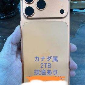 Apple iPhone 17 Pro Max Orange 2TB CA属