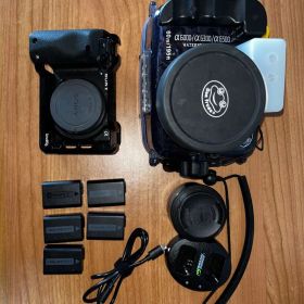 SONY α6400 + Sigma 19mm f2.8 + 水中ケージ