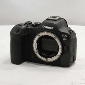 〔中古品〕 EOS R6 Mark II ボディ【344】