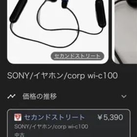 美品SONYソニーワイヤレスイヤホンWI-C100未使用充電ケーブル付 ベージュ