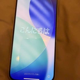 ※特別価格※iPhone 15 128GB SIMフリー Apple